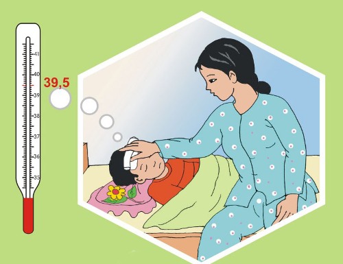 Bài tuyên truyền bệnh Viêm não Nhật Bản và cách phòng tránh